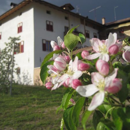 Agritur Maso San Bartolomeo Villa Romeno Ngoại thất bức ảnh
