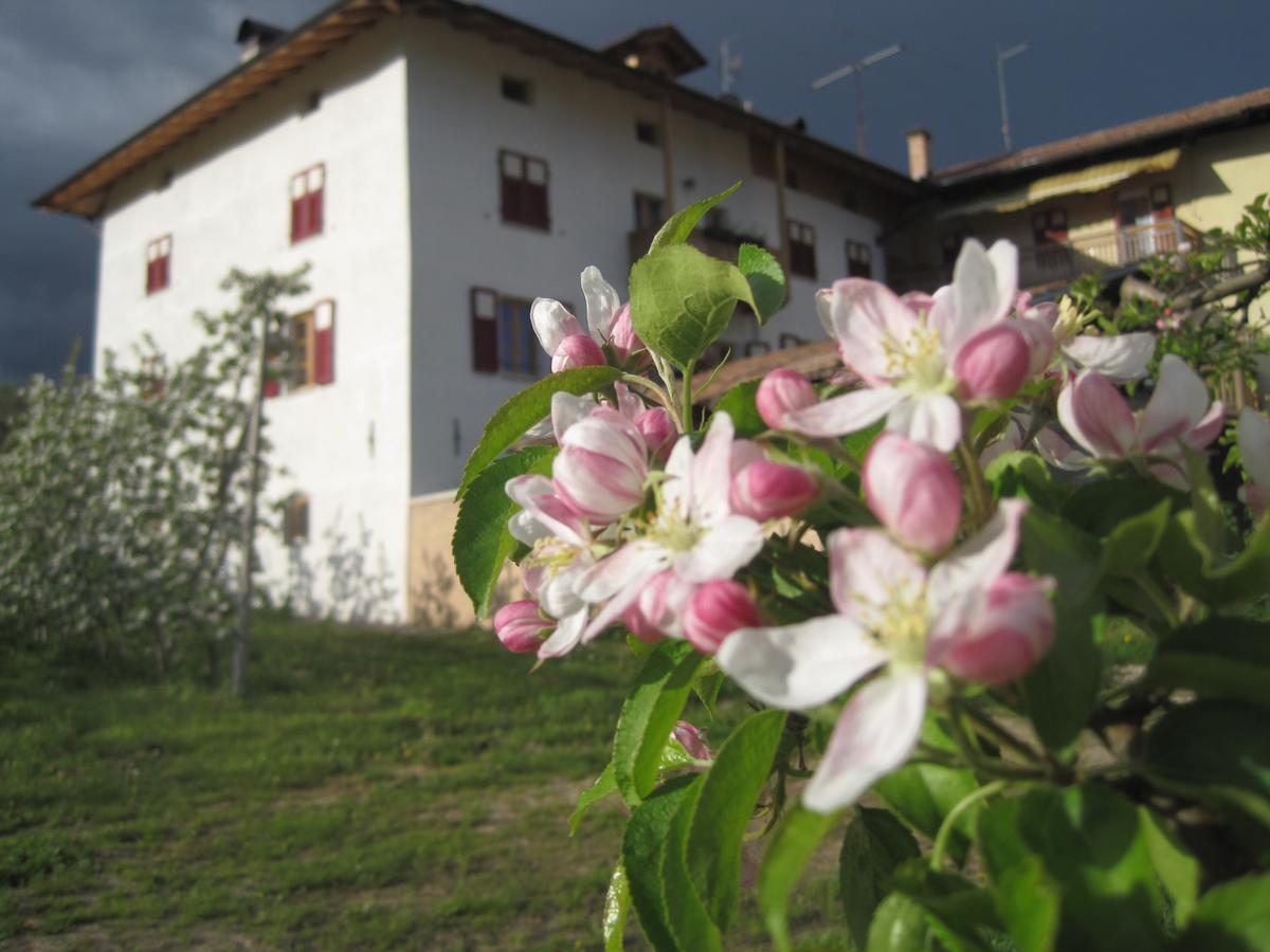 Agritur Maso San Bartolomeo Villa Romeno Ngoại thất bức ảnh